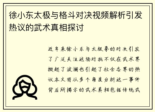 徐小东太极与格斗对决视频解析引发热议的武术真相探讨