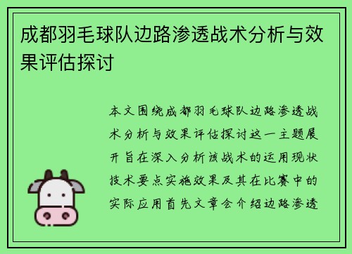成都羽毛球队边路渗透战术分析与效果评估探讨