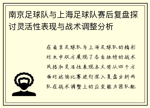 南京足球队与上海足球队赛后复盘探讨灵活性表现与战术调整分析