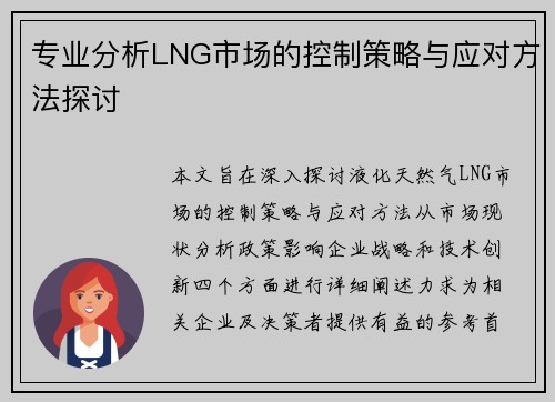 专业分析LNG市场的控制策略与应对方法探讨